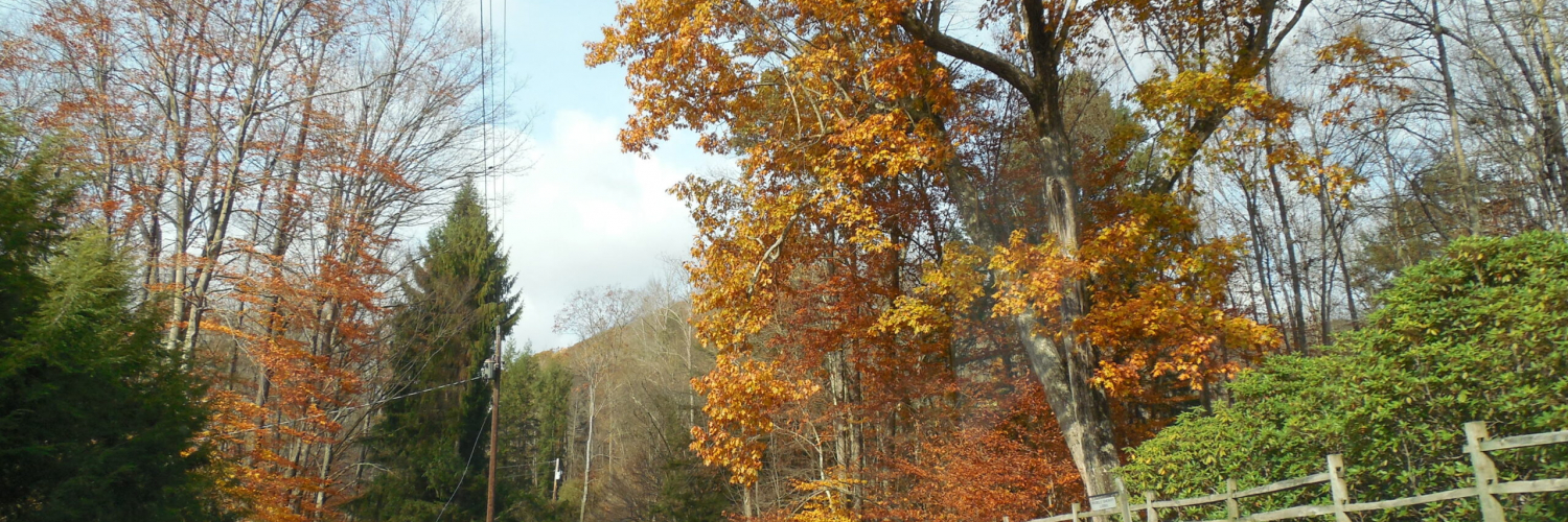 15388490224_aa2890fd5a_o