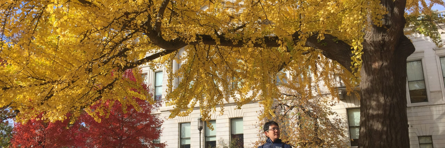 31368277575_d2ef655517_o